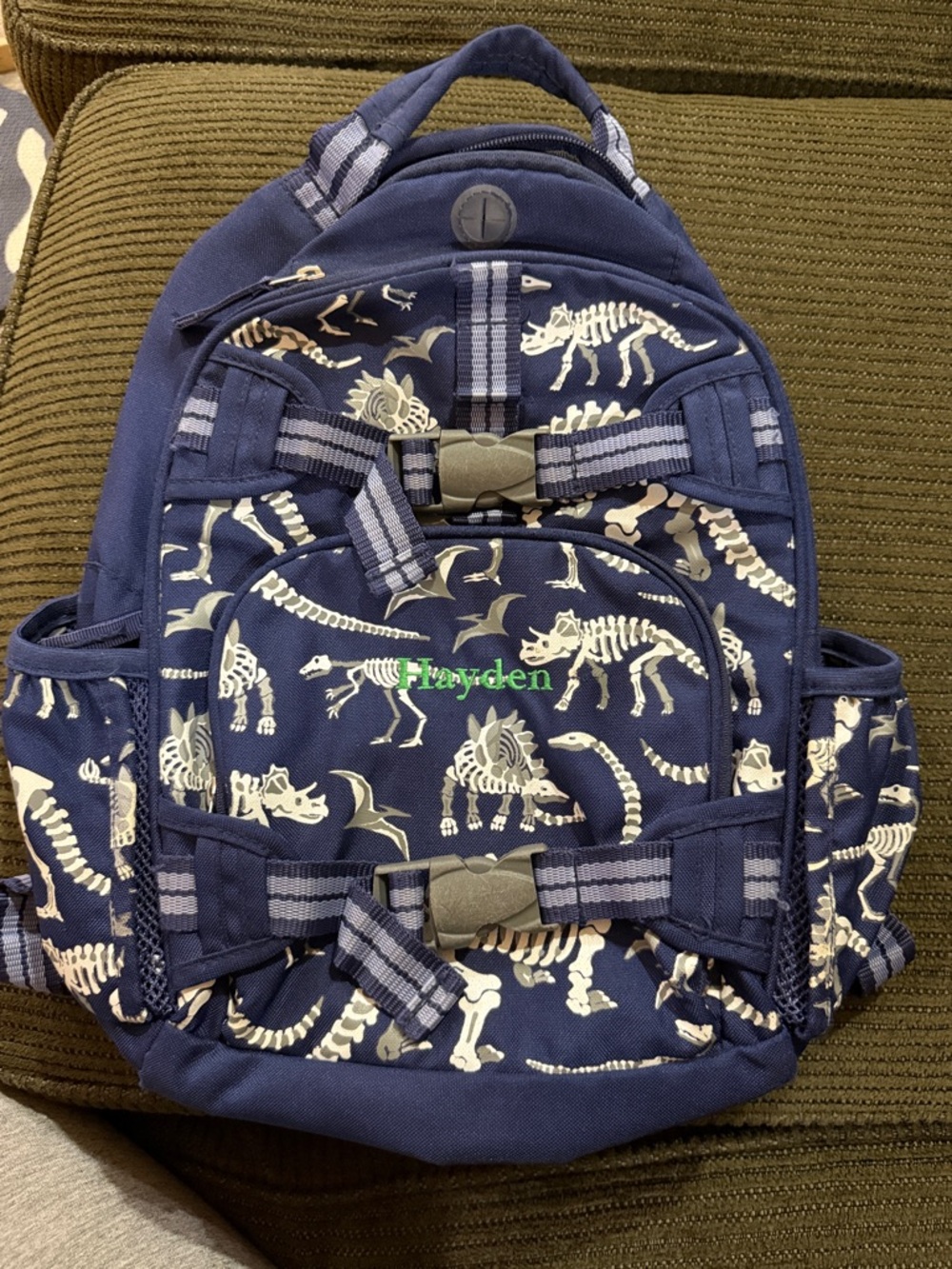 Pottery Barn Kids Glow in the Dark Dinosaur  Backpack